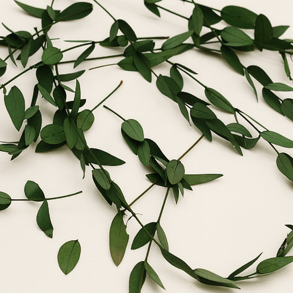 Stabilized Fine Leaf Eucalyptus Sprigs | Preserved Greenery for Crafting