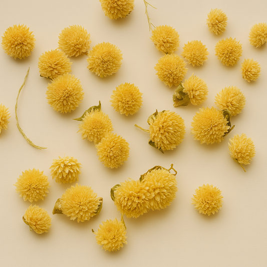Dried Globe Amaranth Flowers (Gomphrena) | Unique Papery Texture