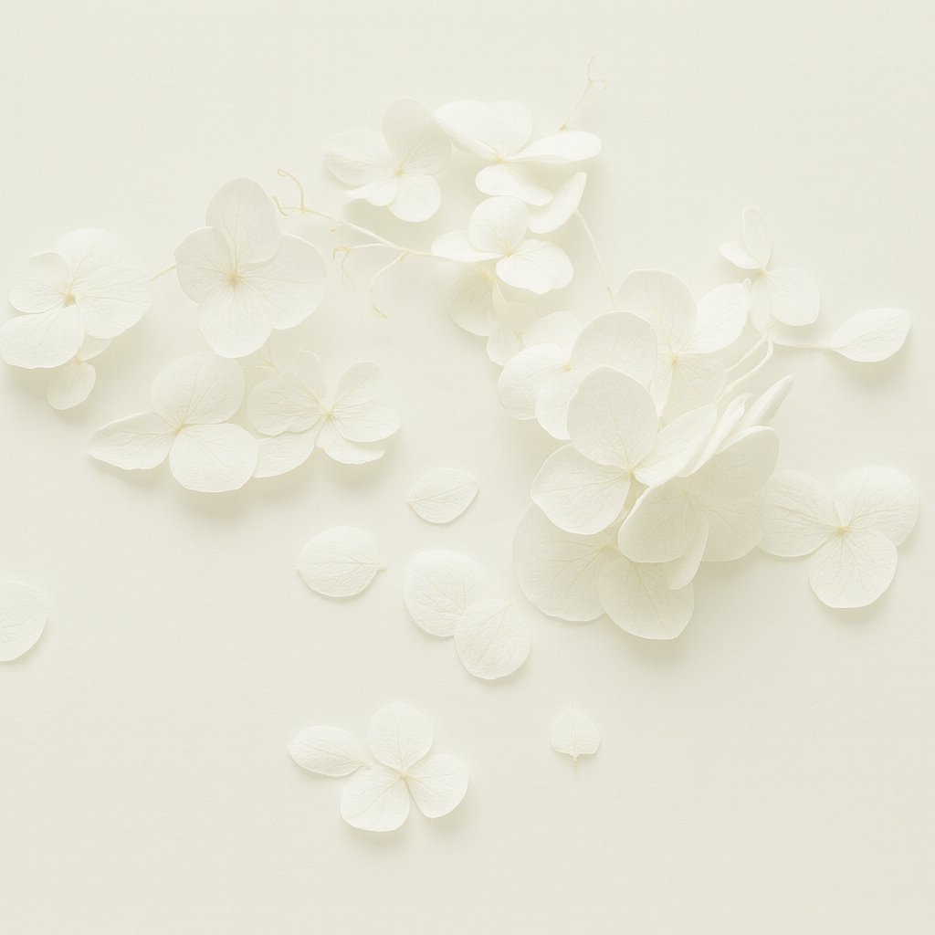 Dried White Hydrangea Florets | Delicate, Ethereal Craft Botanicals
